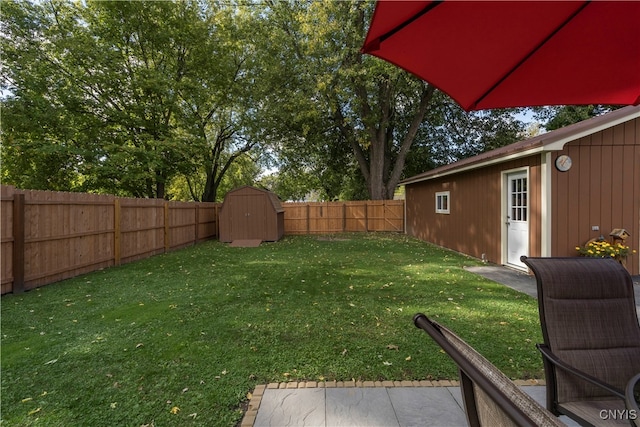 view of yard featuring a storage shed