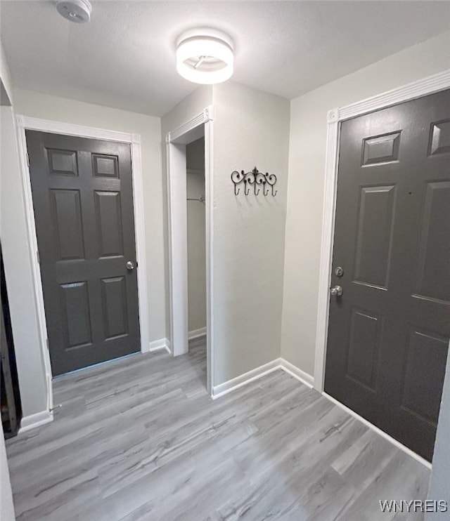 foyer entrance with light wood-type flooring