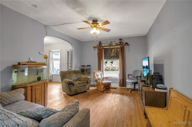 living room featuring ceiling fan and light hardwood / wood-style flooring