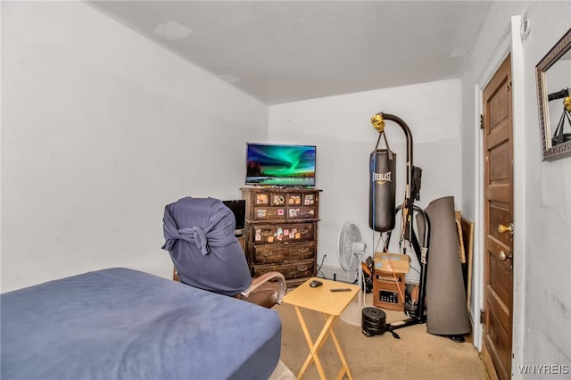 bedroom featuring carpet floors