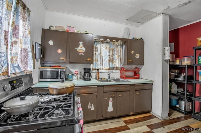 kitchen featuring dark brown cabinetry, hardwood / wood-style flooring, appliances with stainless steel finishes, and sink