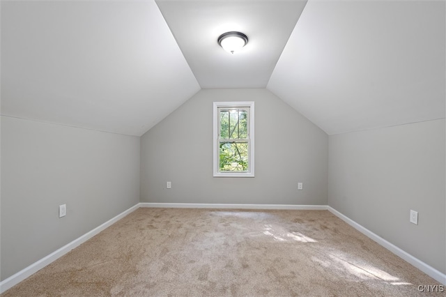 bonus room with carpet and lofted ceiling