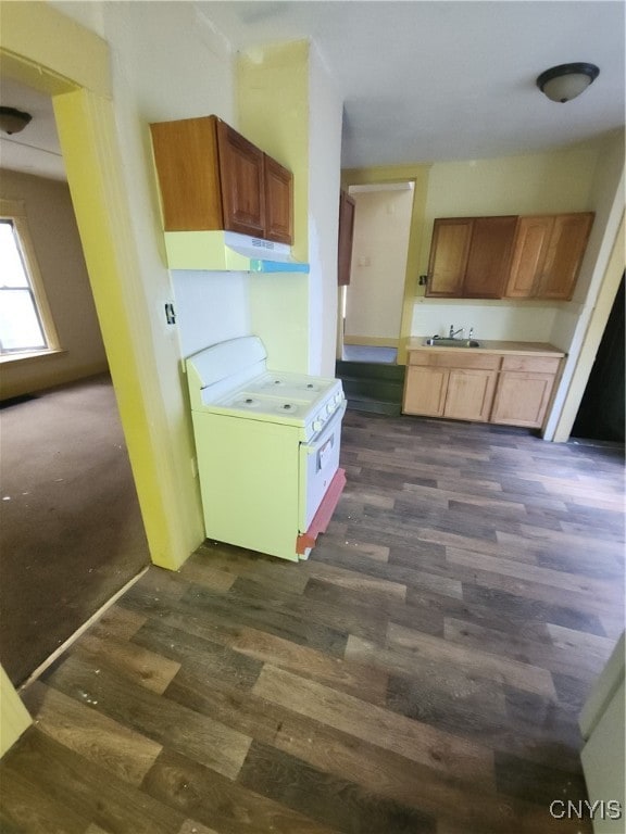 kitchen featuring electric range, sink, and dark hardwood / wood-style flooring