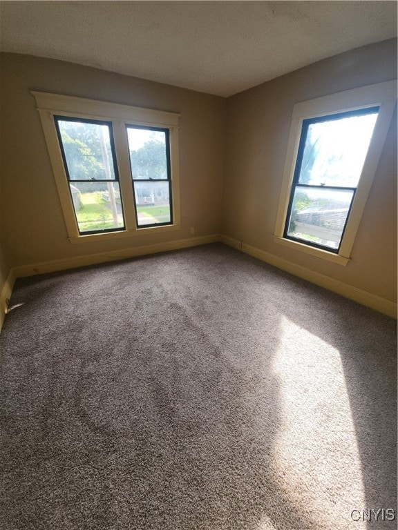 unfurnished room with carpet flooring and a wealth of natural light