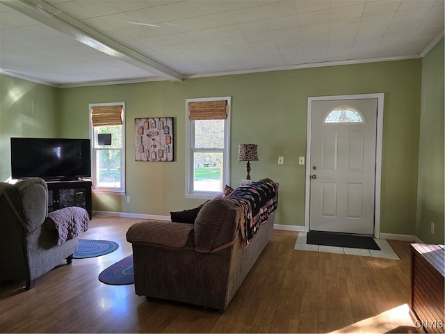 living room featuring hardwood / wood-style flooring and ornamental molding