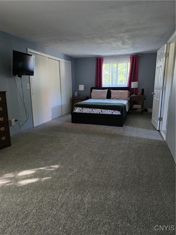 bedroom with carpet flooring and a closet