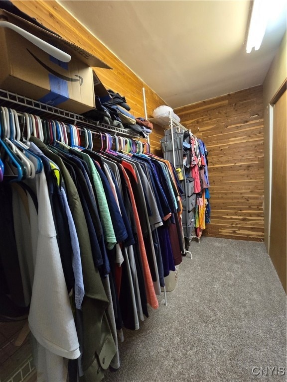 walk in closet with carpet floors