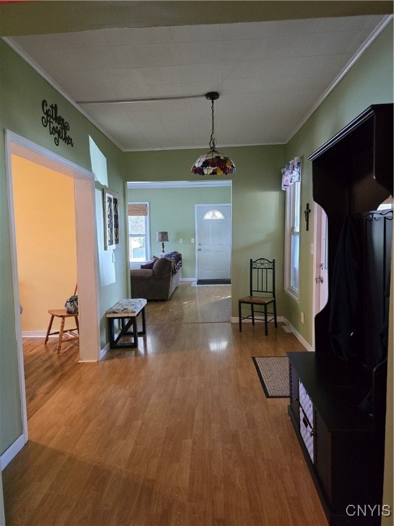 hallway featuring wood-type flooring and crown molding