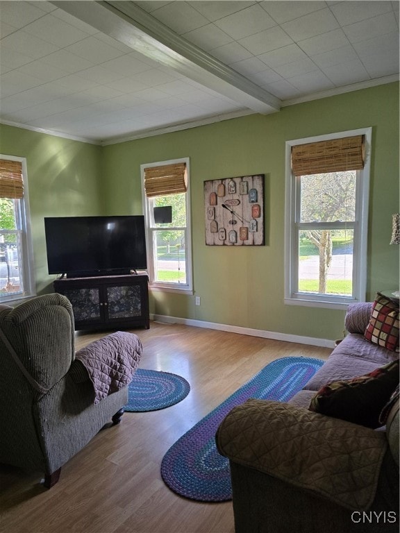 living room with light hardwood / wood-style flooring, ornamental molding, and a healthy amount of sunlight