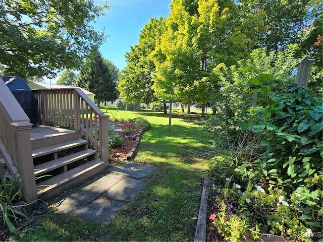 view of yard featuring a wooden deck