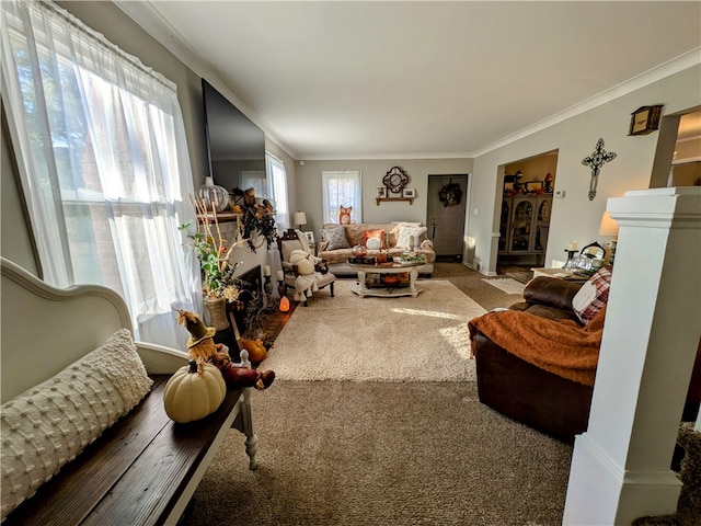 living room featuring carpet floors and ornamental molding