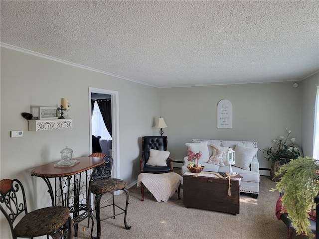 53 Orchard Pl, Bradford City, PA 16701 - carpeted living room with a textured ceiling, ornamental molding, and healthy amount of natural light