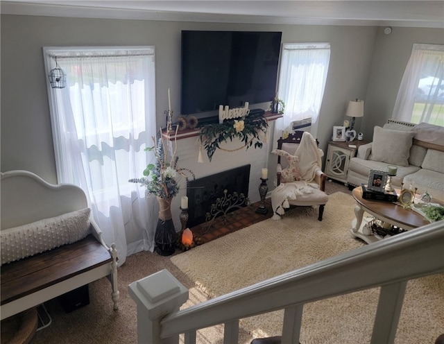 53 Orchard Pl, Bradford City, PA 16701 - view of carpeted living room