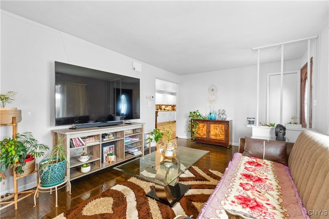 living room with dark hardwood / wood-style floors