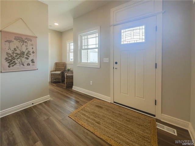 foyer entrance featuring dark wood-type flooring