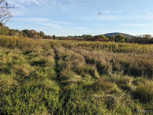 0 Riverside Dr, Scio, NY 14880