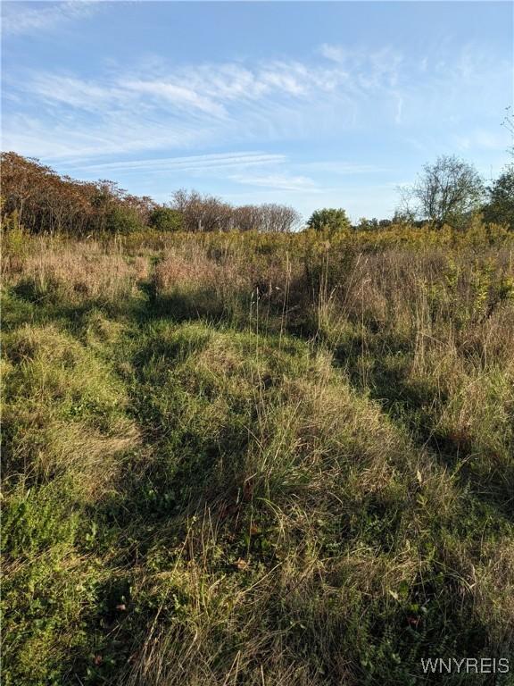0 Riverside Dr, Scio, NY 14880