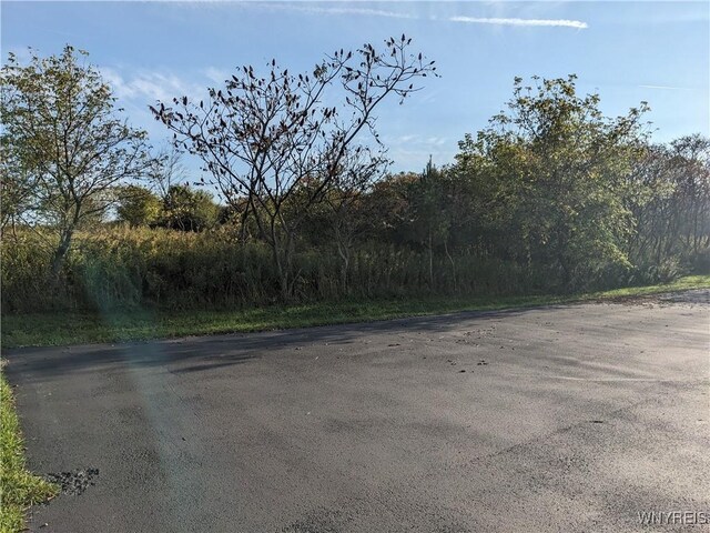0 Riverside Dr, Scio, NY 14880