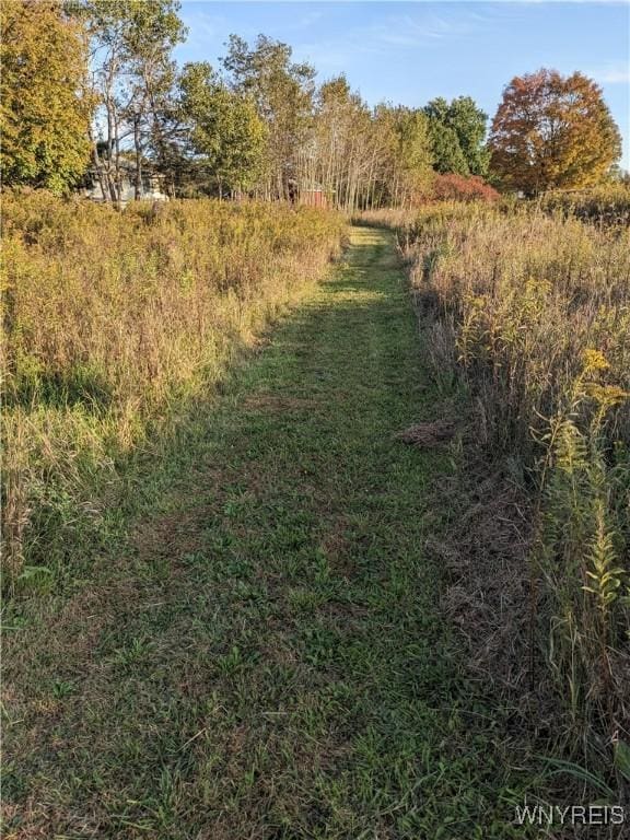 0 Riverside Dr, Scio, NY 14880