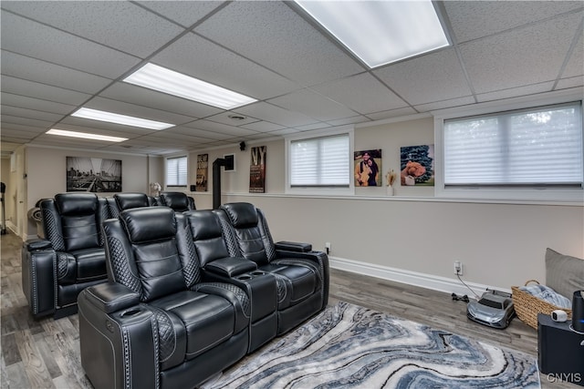 cinema with plenty of natural light, a drop ceiling, and hardwood / wood-style floors