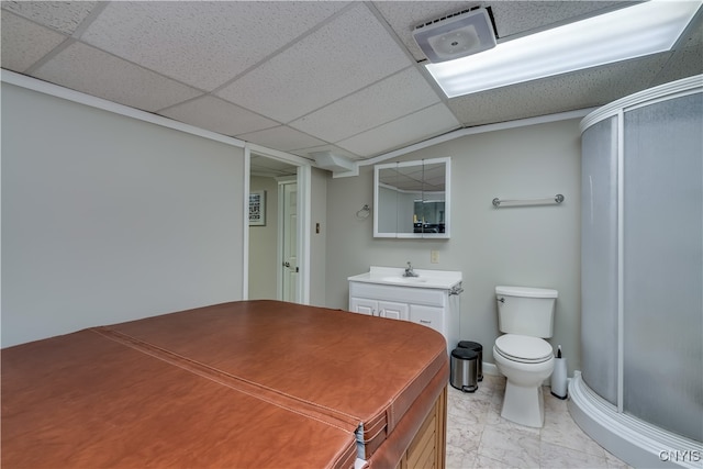 bathroom with a drop ceiling, toilet, vaulted ceiling, a shower with door, and vanity