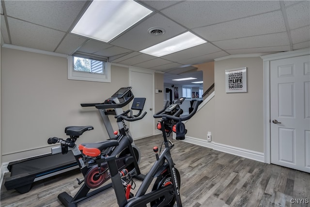 exercise room featuring hardwood / wood-style flooring, a drop ceiling, and crown molding