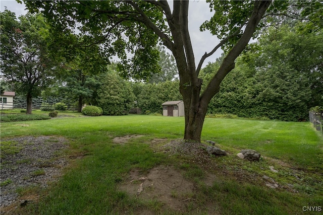 view of yard featuring a storage unit