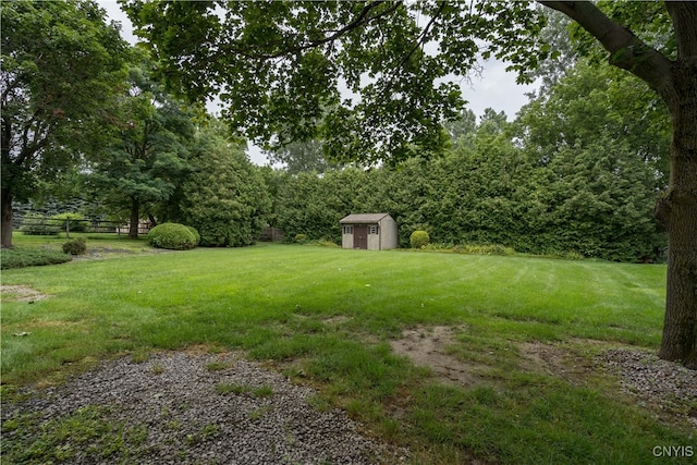 view of yard featuring a storage unit