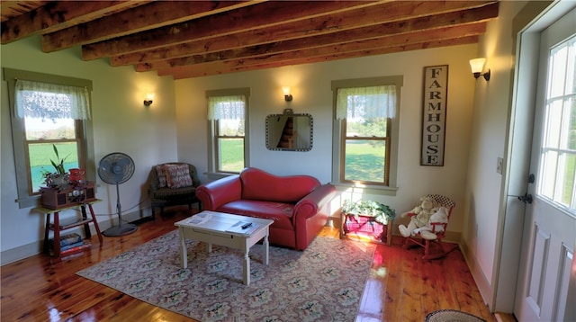 interior space featuring wood-type flooring and beam ceiling