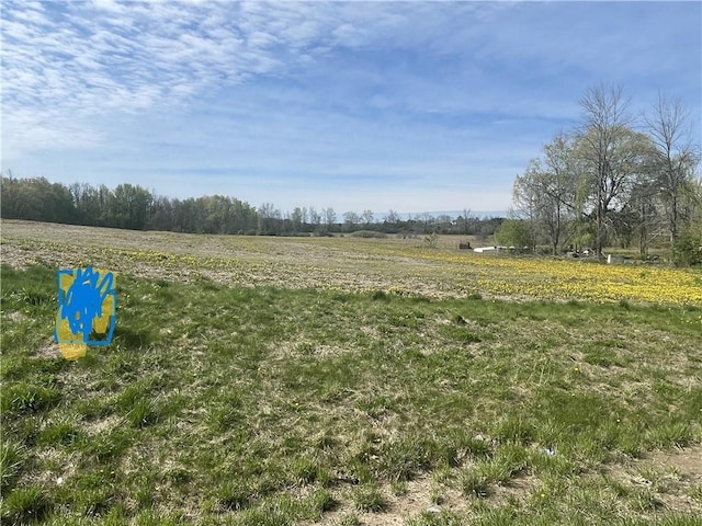 00 Rte 318, Junius, NY 13165
