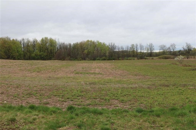00 Rte 318, Junius, NY 13165