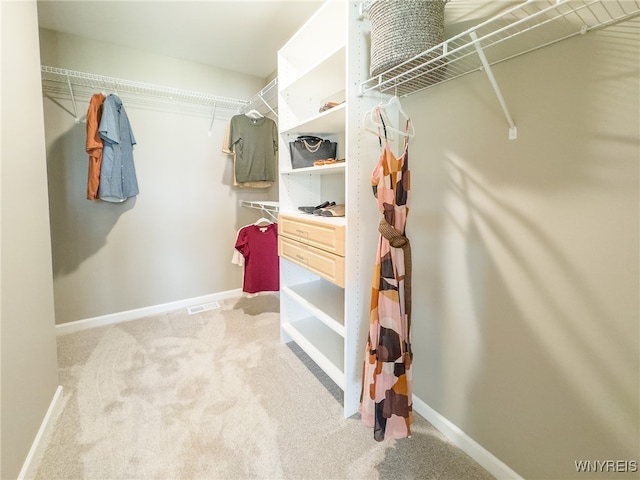 spacious closet with light carpet