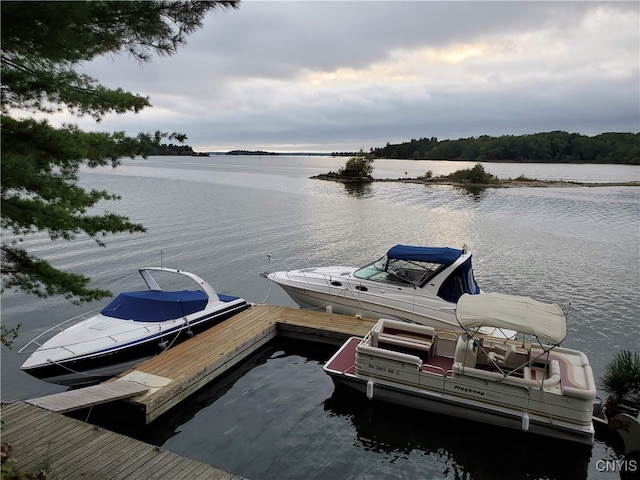 dock area featuring a water view