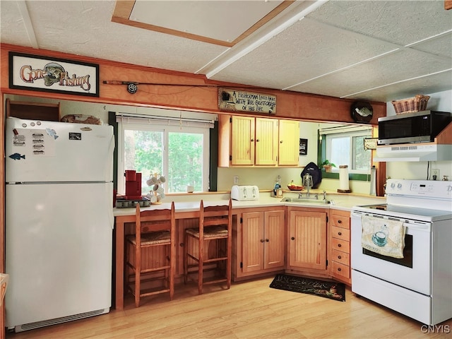 kitchen featuring range hood, white appliances, sink, and light hardwood / wood-style floors