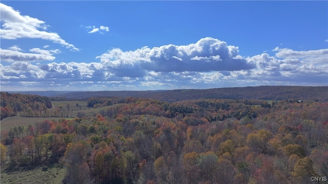 L22 Lamb Rd, Brookfield NY, 13485 land for sale