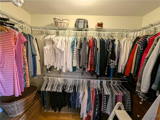 644 Main St, Independence, NY 14897 - view of walk in closet