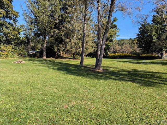 644 Main St, Independence, NY 14897 - view of green lawn