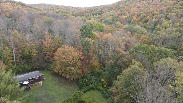 0 Kent Rd, Hinsdale, NY 14743 - photo 23
