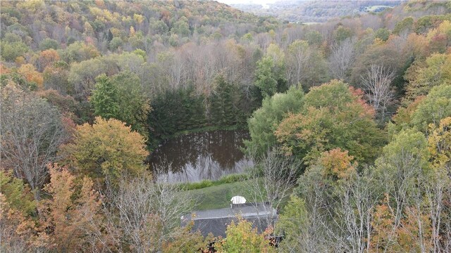 0 Kent Rd, Hinsdale, NY 14743 - photo 24