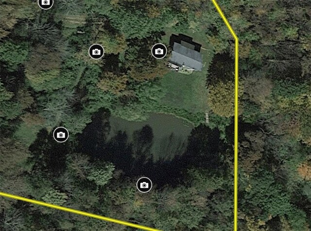 0 Kent Rd, Hinsdale, NY 14743 - photo 38
