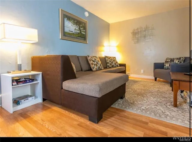 living room featuring hardwood / wood-style floors