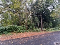 Listing photo 2 for LOT1 Vienna Rd, Vienna NY 13157