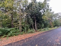 Listing photo 3 for LOT1 Vienna Rd, Vienna NY 13157