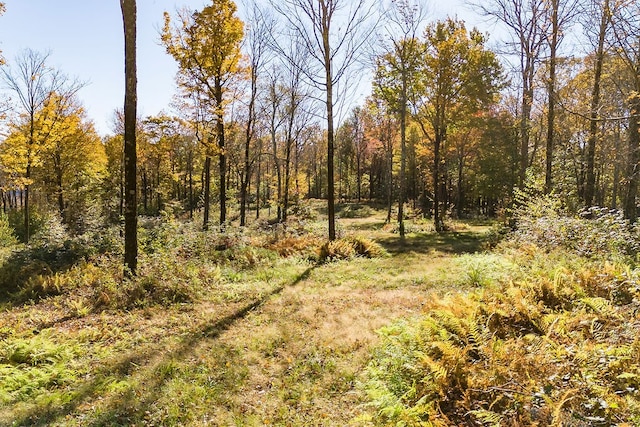 view of local wilderness