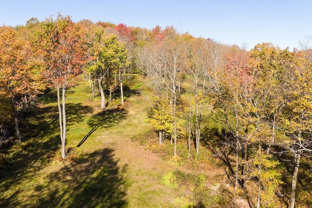 view of local wilderness