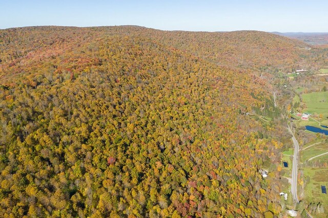 bird's eye view with a mountain view