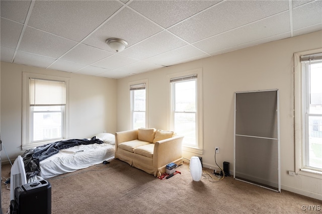 bedroom with multiple windows and carpet floors