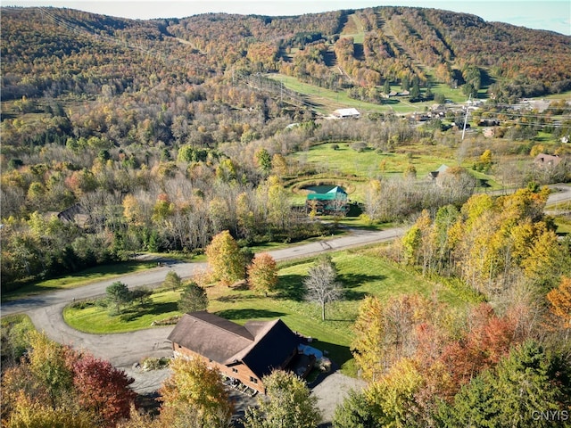 drone / aerial view featuring a mountain view