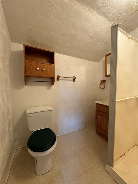 bathroom featuring vanity, curtained shower, and toilet