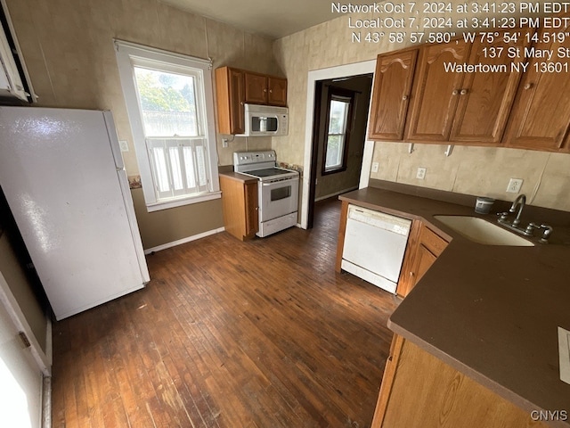 kitchen featuring dark hardwood / wood-style floors, sink, and white appliances